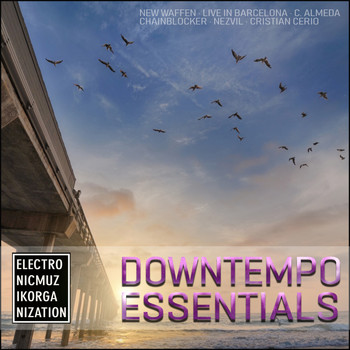 Various Artists - Downtempo Essentials