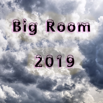 Various Artists - Big Room 2019