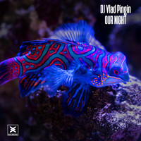 DJ Vlad Pingin - Our Night