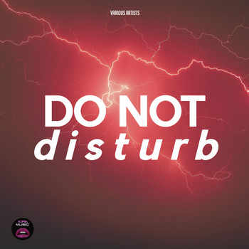 Various Artists - Do Not Disturb