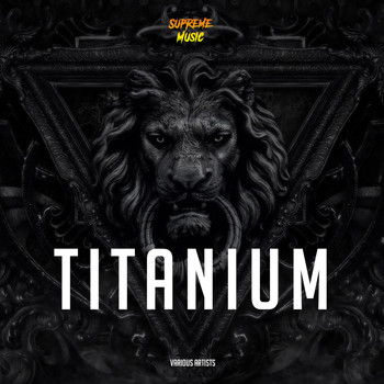 Various Artists - Titanium