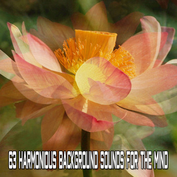 Healing Yoga Meditation Music Consort - 63 Harmonious Background Sounds For The Mind