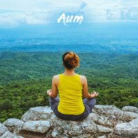 Moon Tunes, Aum Yoga and Aum Meditation - Asana