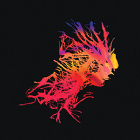 Paranoïd - Dark Light