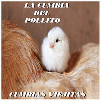 Cumbias Viejitas - La Cumbia Del Pollito (Explicit)