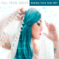 Sammy Love - Fall From Above