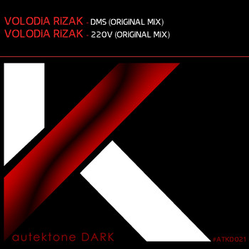 Volodia Rizak - DMS / 220V