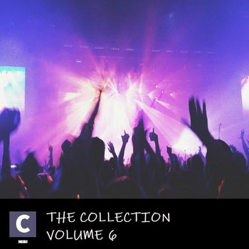 Various Artists - The Collection Volume 6