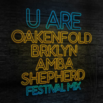 Paul Oakenfold - U Are (Festival Mix)