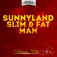 Sunnyland Slim &amp; Fat Man - Titanium Hits