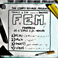 F.E.M. - Federació de l'Espai i el Mehnir