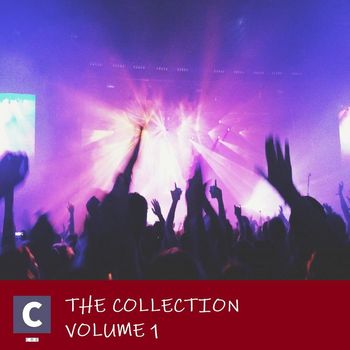 Various Artists - The Collection Volume 1