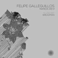 Felipe Galleguillos - Nanda Devi
