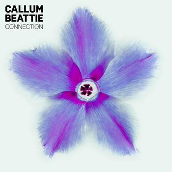 Callum Beattie - Connection
