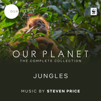 Steven Price - Jungles (Episode 3 / Soundtrack From The Netflix Original Series "Our Planet")
