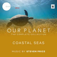 Steven Price - Coastal Seas (Episode 4 / Soundtrack From The Netflix Original Series "Our Planet")