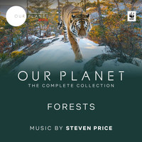 Steven Price - Forests (Episode 8 / Soundtrack From The Netflix Original Series "Our Planet")