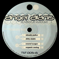 Angel Alanis - Organic Moods