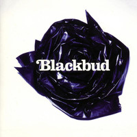 BlackBud - Blackbud