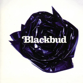 BlackBud - Blackbud