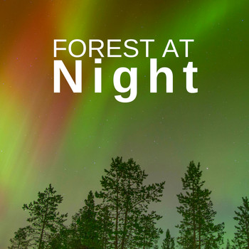Deep Forest - Forest at Night: Relaxing Nature Night Sounds