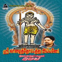 Prabhakar - Sri Vaazhaithottathu Ayyane