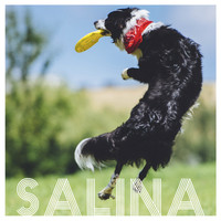 Salina - Demo