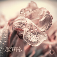 Germind - Absorbient