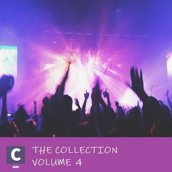 Various Artists - The Collection Volume 4