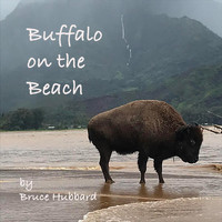 Bruce Hubbard - Buffalo on the Beach