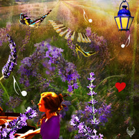 Anna Sutyagina - Lavender Field