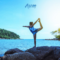 Moon Tunes, Aum Yoga and Aum Meditation - Deep Focus