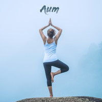 Aum Relaxing Music, Aum Focus and Aum Sleep - Deep Sleep