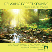 Ryan Judd - Relaxing Forest Sounds - Soothing Sounds of Nature