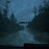 OWL - Raining On SP