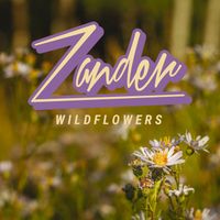 Zander - Wildflowers