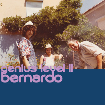 Bernardo - Genius Level II