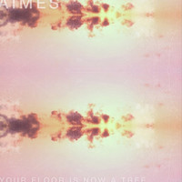 AIMES - Your Floor Is Now a Tree