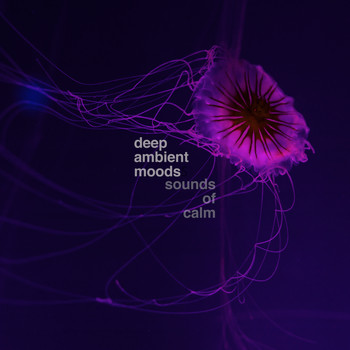 Various Artists - Deep Ambient Moods, Vol. 1: Sounds of Calm