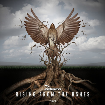 Reborn - Rising From The Ashes