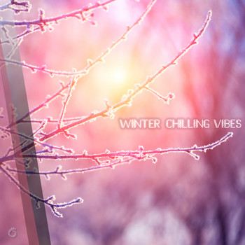 Various Artists - Winter Chilling Vibes