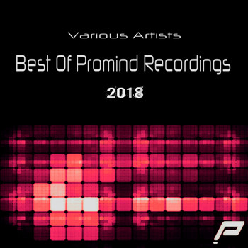 Various Artists - Best Of Promind Recordings 2018