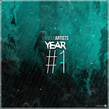 Various Artists - Year #1 Celebration