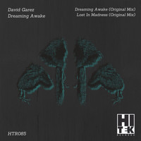 David Garez - Dreaming Awake
