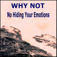 Why Not - No Hiding Your Emotion