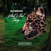 Hammad - What Is That Thing