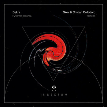 DeKRA - Pyrochroa Coccinea