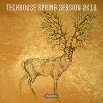 Various Artists - Techhouse Spring Session 2K19