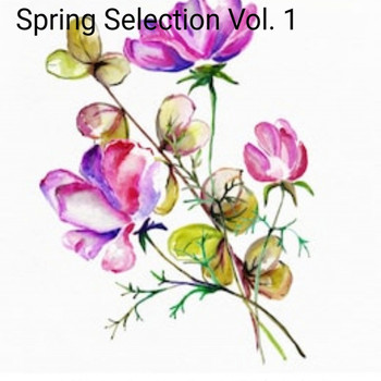 Various Artists - Spring Selection, Vol. 1 (Explicit)