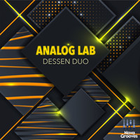Dessen Duo - Analog Lab
